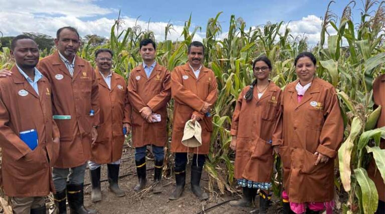 Cross-Continental Learning: Indian Maize Scientists Visit CIMMYT-Kenya Under ICAR-CIMMYT Collaboration