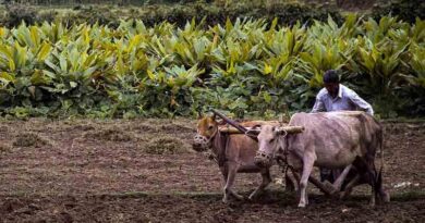 Rajasthan Focuses on Drones and Organic Farming; State Farmers’ Commission to Amplify Farmer Voices: C.R. Chaudhary