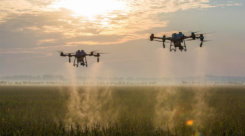 U.S. EPA Proposes Approval of Epyrifenacil Herbicide: Public Comment Now Open