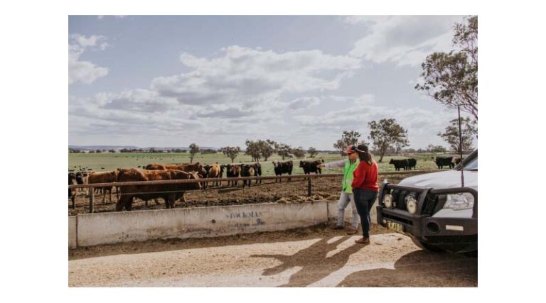 Simon Quilty: Australia’s Feedlot Sector Goes On The Market