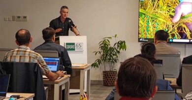 IRRI and AFACI Member Countries Begin Scaling Stress‑Tolerant Rice Across Asia