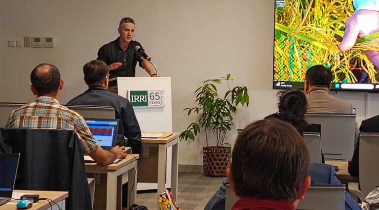 IRRI and AFACI Member Countries Begin Scaling Stress‑Tolerant Rice Across Asia