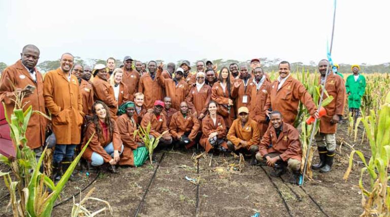 Safeguarding Africa’s Maize: Partners Visit CIMMYT’s MLN Screening Facility in Kenya