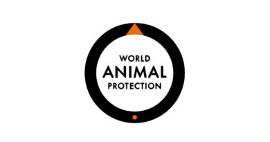 How Taxpayer Money Is Fueling Intensive Farming and Deforestation Worldwide