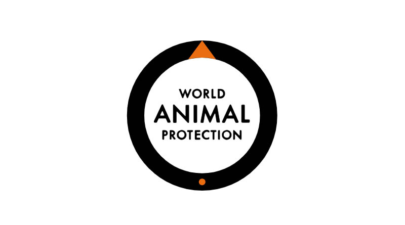 How Taxpayer Money Is Fueling Intensive Farming and Deforestation Worldwide