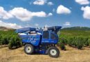 New Holland Celebrates 50 Years of Braud Innovation with Powerful New Solutions for Vineyards at SITEVI 2025