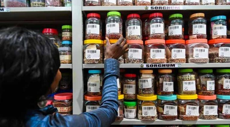 Devex: Why Crop Diversity Is Key For The Future Of Food