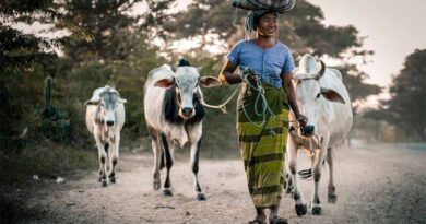 Research Into Zoonotic Disease Risks Requires A One Health Approach