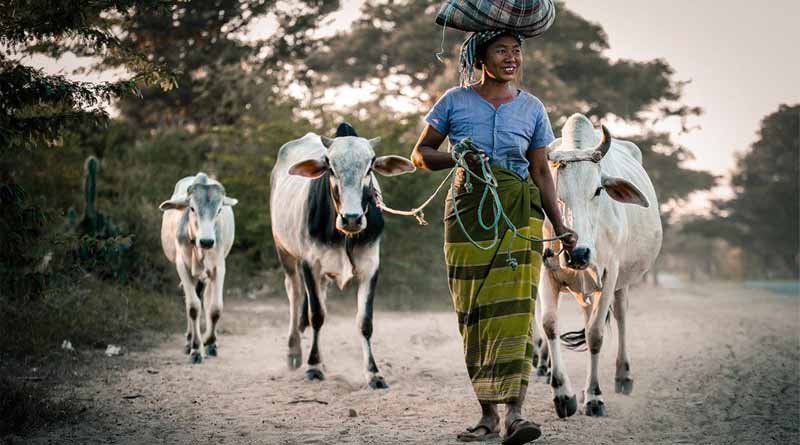 Research Into Zoonotic Disease Risks Requires A One Health Approach