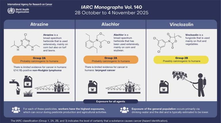 Atrazine and Alachlor Classified as Group 2A “Probably Carcinogenic to Humans”: IARC Monographs Study: