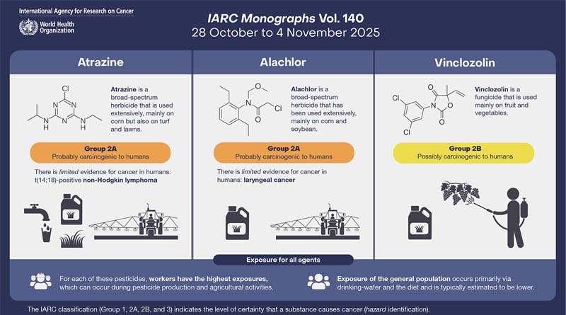 Atrazine and Alachlor Classified as Group 2A “Probably Carcinogenic to Humans”: IARC Monographs Study: