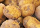 China’s 15% Processing Share Signals Shifts in the Global Potato Value Chain