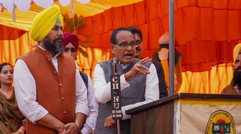 As Delhi AQI Hits Severe Levels, This Punjab Village Offers a Real Solution to Stubble Burning