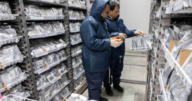 New World Bank Report Examines AI Applications In Global Agrifood Systems