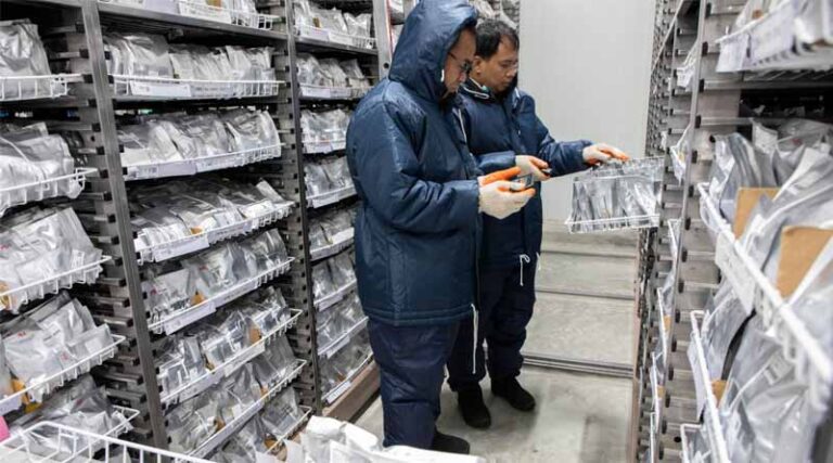 New World Bank Report Examines AI Applications In Global Agrifood Systems