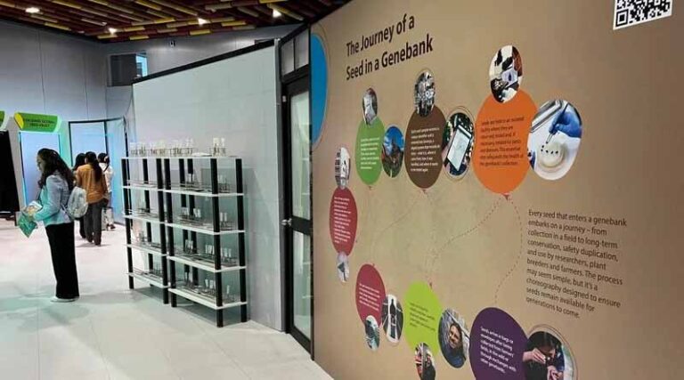 International Partners Launch Immersive Exhibition at GB-11 in Peru