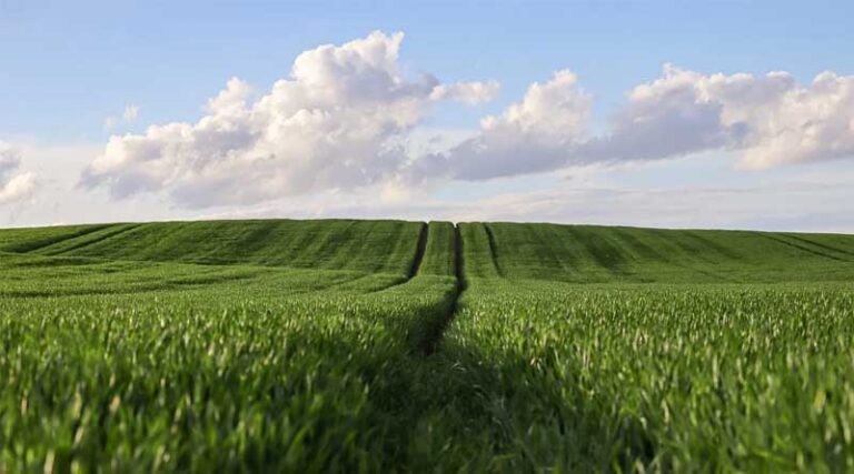 Agriculture: A Key Strength of India’s Economy