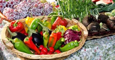 Updated List Of Cell Fusion-free Vegetable Varieties