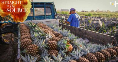 "Straight to the Source" Returns, Spotlighting Taiwan's Rich Food Heritage