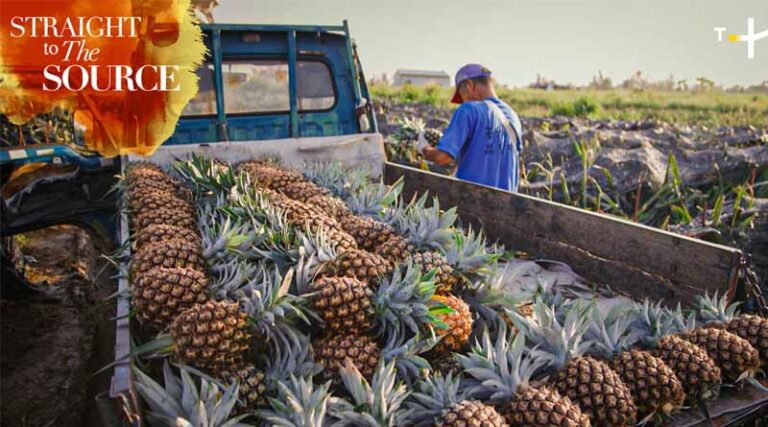 "Straight to the Source" Returns, Spotlighting Taiwan's Rich Food Heritage