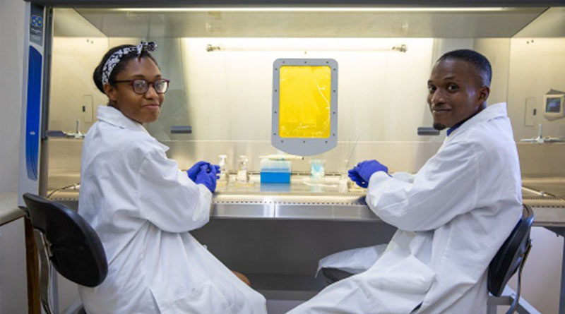 Over 250 Researchers Benefit From Script Webinar Aimed At Writing Effective Policy Briefs