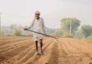 Rabi Sowing Picks Up Pace: Total Sown Area Reaches 75.77 Lakh Hectares, Up 9.89 Lakh Hectares from Last Year