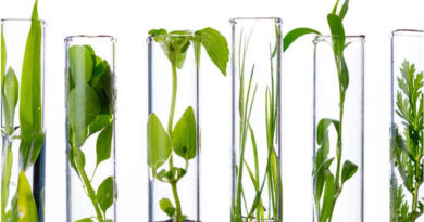 From Leaf To Lab: Your Step-by-step Guide To Mail-in Testing With Agdia