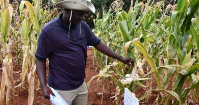 IMIC-Africa Field Days 2025: Partners Share Insights on Innovation and Collaboration