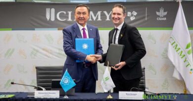 CIMMYT and the Organization of Turkic States Forge Strategic Alliance to Strengthen Agricultural Innovation in the Turkic Countries