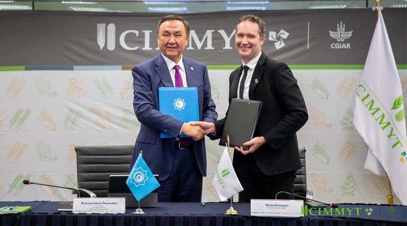 CIMMYT and the Organization of Turkic States Forge Strategic Alliance to Strengthen Agricultural Innovation in the Turkic Countries