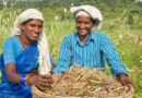 Strengthening Agri-Extension for a Strong Farm Sector