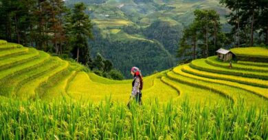 Vice Minister Zhang Zhili Meets with Irish Agriculture Minister