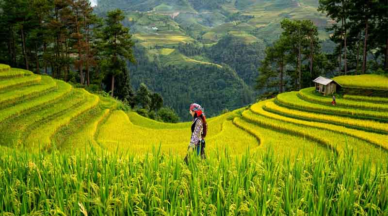 Vice Minister Zhang Zhili Meets with Irish Agriculture Minister