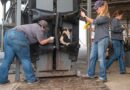 Cattle Chat: Partnerships Strengthen The Beef Industry Cattle Chat: Partnerships Strengthen The Beef Industry