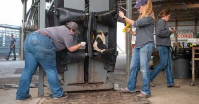 Cattle Chat: Partnerships Strengthen The Beef Industry