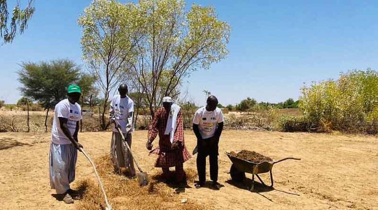 Climate Conference In Belém: Agriculture Is Part Of The Solution