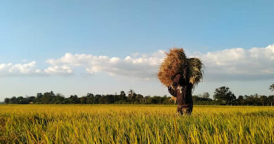 Haryana’s Zero-Cost Decomposer Rollout Aims to End Stubble Burning, Improve Soil Quality