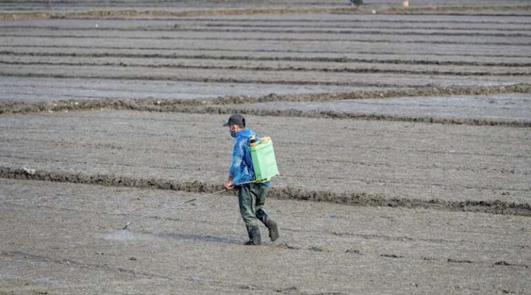 China Agrochemical Market Sees Mixed Trends in Technical Material Prices Ahead of Winter Demand