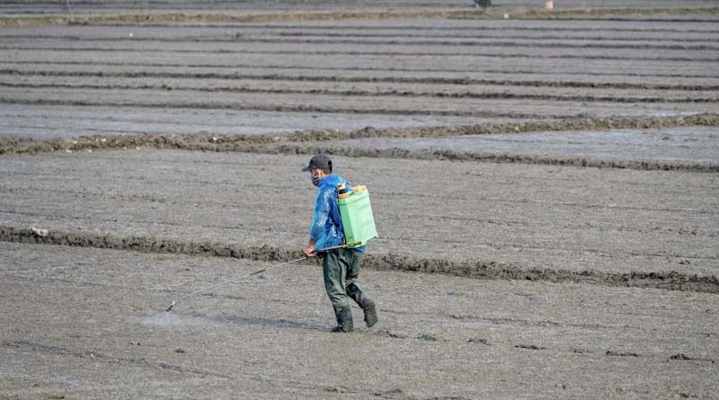 China Agrochemical Market Sees Mixed Trends in Technical Material Prices Ahead of Winter Demand