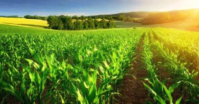 TFI Celebrates Recognition of Phosphate and Potash as Critical Minerals