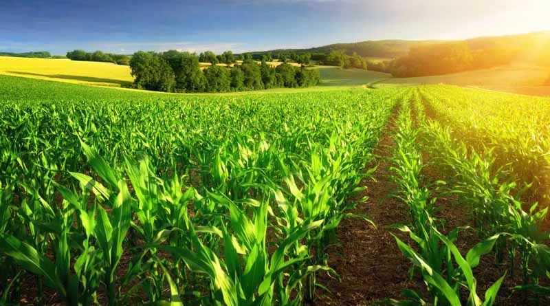 TFI Celebrates Recognition of Phosphate and Potash as Critical Minerals