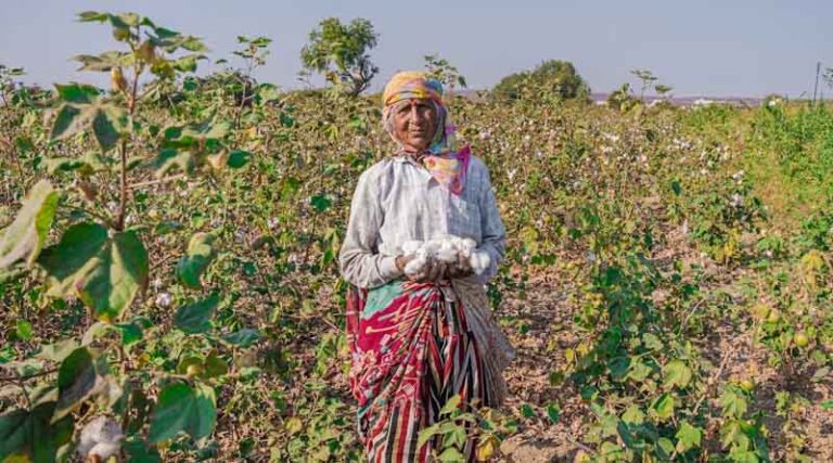 Indo-Dutch Initiative Launches Roadmap to Strengthen India’s Horticulture Sector