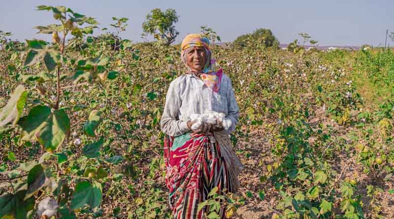 Indo-Dutch Initiative Launches Roadmap to Strengthen India’s Horticulture Sector