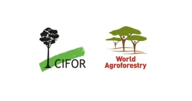 Global Green Growth Institute and CIFOR-ICRAF Renew Strategic Partnership to Accelerate Nature-Positive Investments for Forests and Landscapes