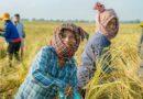 Heifer International to elevate the voices of female producers to mark International Year of the Woman Farmer