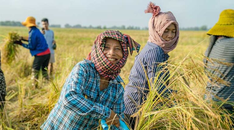Heifer International to elevate the voices of female producers to mark International Year of the Woman Farmer
