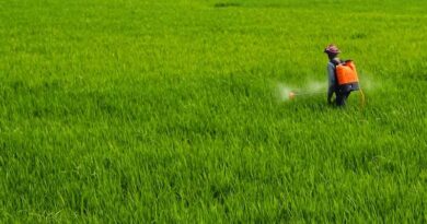 White Paper on Data Exclusivity in India’s Agrochemical Sector Released by CCFI White Paper on Data Exclusivity in India’s Agrochemical Sector Released by CCFI