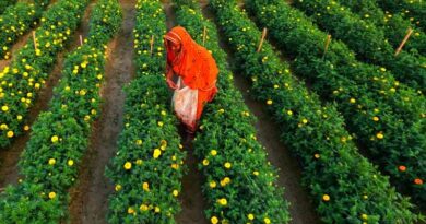 Kisan Diwas 2025: Data, Drones and AI Drive the Next Leap in Indian Agriculture