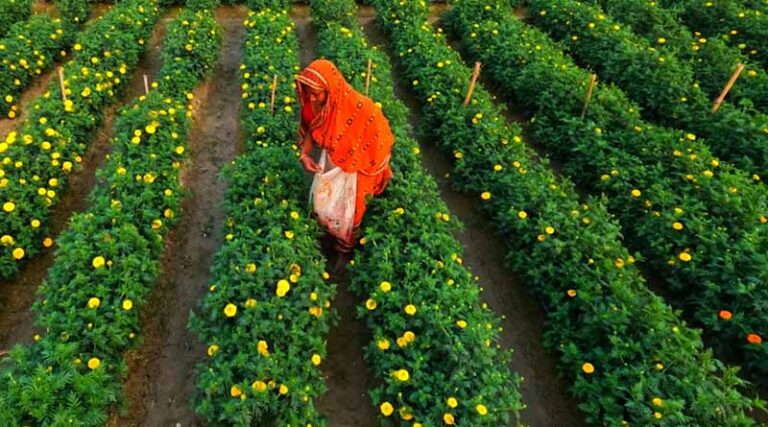 Kisan Diwas 2025: Data, Drones and AI Drive the Next Leap in Indian Agriculture