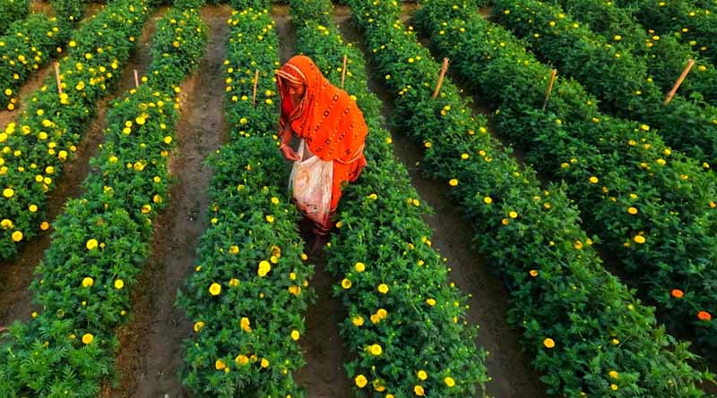 Kisan Diwas 2025: Data, Drones and AI Drive the Next Leap in Indian Agriculture